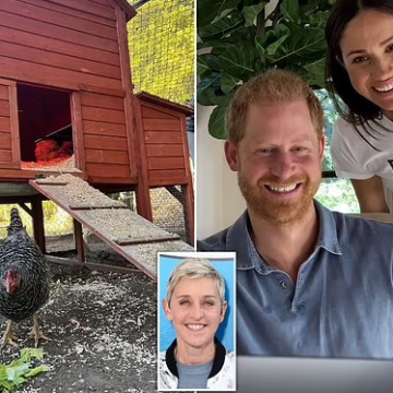 Prince Harry and Meghan Markle Adopt Ellen DeGeneres’ Chicken