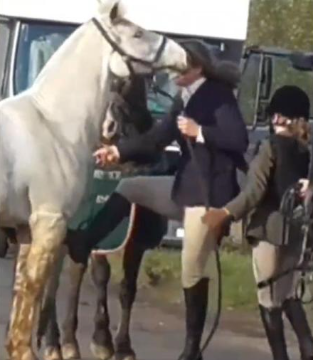 Woman Cleared of Animal Cruelty After Viral Video of Her Kicking and Slapping Horse