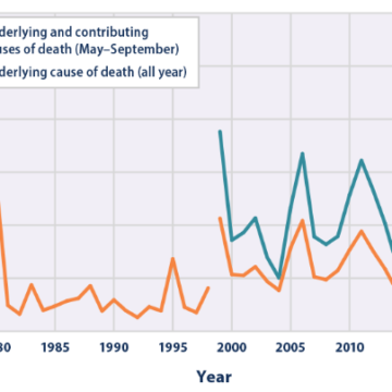 Hottest Day of 2022 Causes Spike in Deaths, Revealing Dangers of Extreme Heat