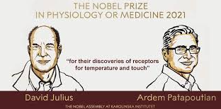 Nobel Prize in Medicine 2021 Awarded to US Researchers for Breakthroughs in Sense of Touch