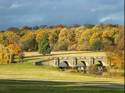 The Last Warm Day: Autumn’s Changes Unfold in Norfolk