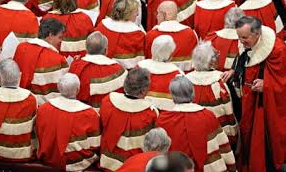 Investigation Exposes How House of Lords Members Profit from Business Interests